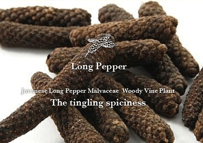 LongPepper